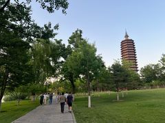 -西海子公园