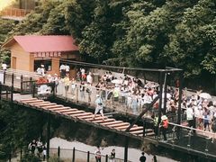 -梦幻奥陶纪景区