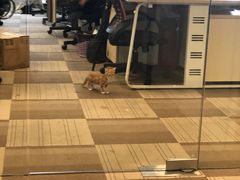 -光启城时尚购物中心