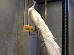 -火啫啫·粤式啫啫煲(南通首店)