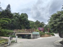-天龙顶山地公园