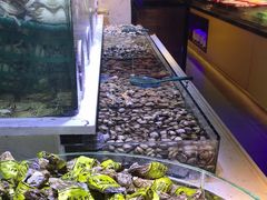 -聚盛源蒸汽海鲜火锅烤肉自助(巨川金海岸购物广场店)