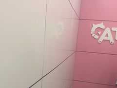 -网猫电竞(高新万达店)