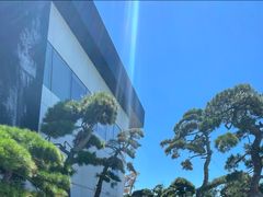 -罗红摄影艺术馆