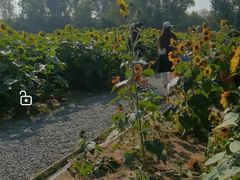 -汉长安城未央宫国家考古遗址公园