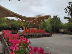 -东平国家森林公园