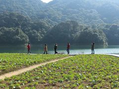 景点-广州市石门国家森林公园