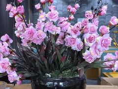 -野菌皇海景野生菌火锅(滨海大道店)
