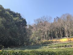 -法云古村