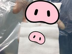 -美联众合爱康动物医院•复杂内科•肿瘤科•牙科•腔镜诊疗中心