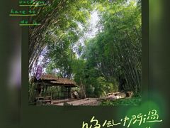 -望江楼公园