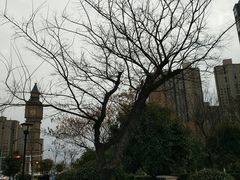 -五里湖湿地公园