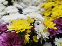 -上海市龙华烈士陵园