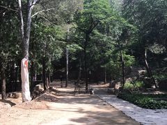 -阳台山自然风景区