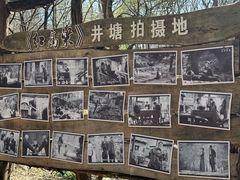 -井塘古村