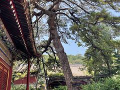 -潭柘寺景区