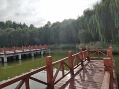 -河北省园博园