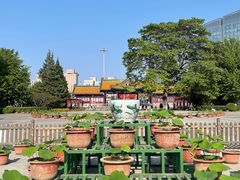 -莲花池公园