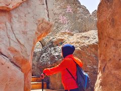 -白草畔自然风景区