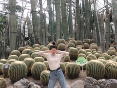 -南山植物园