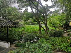 -上海醉白池公园