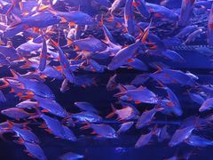 -成都浩海立方海洋公园