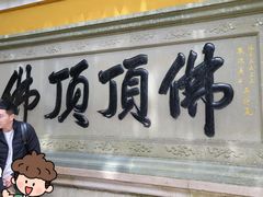 -普陀山风景区-佛顶山
