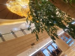 -杭州温德姆至尊豪廷大酒店
