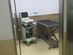 -爱侣宠医·鹦鹉专科·小型哺乳类·异宠专科(灵石路店)