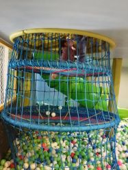 -酷嗒动物文化乐园(cutezoo西溪乐天城店)