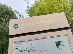 -北京鹫峰国家森林公园