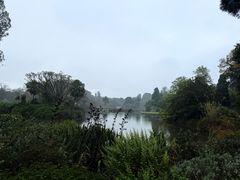 -墨尔本皇家植物园