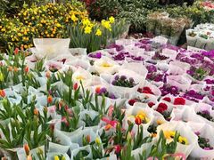 -双季花艺园艺市场(浦东店)