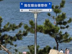 -养马岛旅游度假区