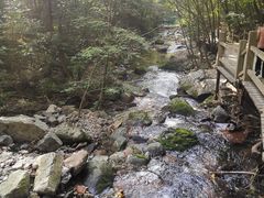 -本溪汤沟绿石谷森林公园