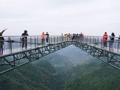 -梦幻奥陶纪景区