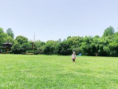 -东湖落雁景区