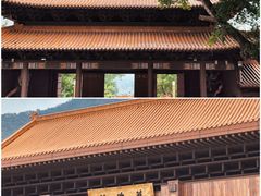 -深圳仙湖植物园