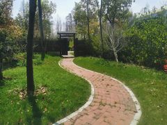 -上海海湾国家森林公园