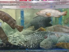 -东江海鲜酒家(艺都分店)
