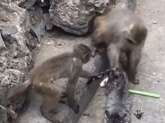 -昆明动物园