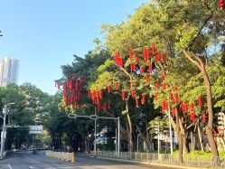 -宝生月子中心·独栋独院式(南山店)