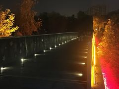 银翔湖公园-南翔镇银翔湖公园