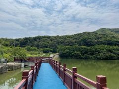 -黄埔油麻山森林公园
