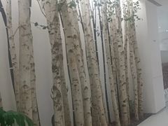 -极简口腔(总院)