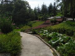 -铁山坪森林公园