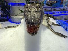 -澜悦港海鲜体验主题餐厅