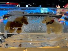 -沈阳奥体冰雪嘉年华