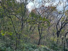 -句容茅山景区