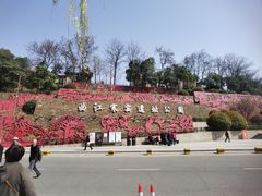 -西安曲江寒窑遗址公园